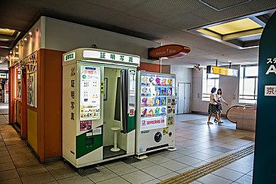 平台解谜《Neva》10月15日发售 《GRIS》开发商制作